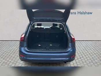 Used Ford Focus 2023 for sale - 79486768: Photo