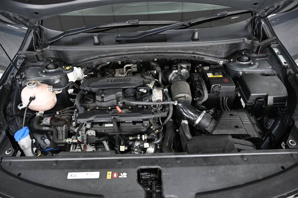 Used Kia Sportage 2023 for sale - 75986701: Photo 37
