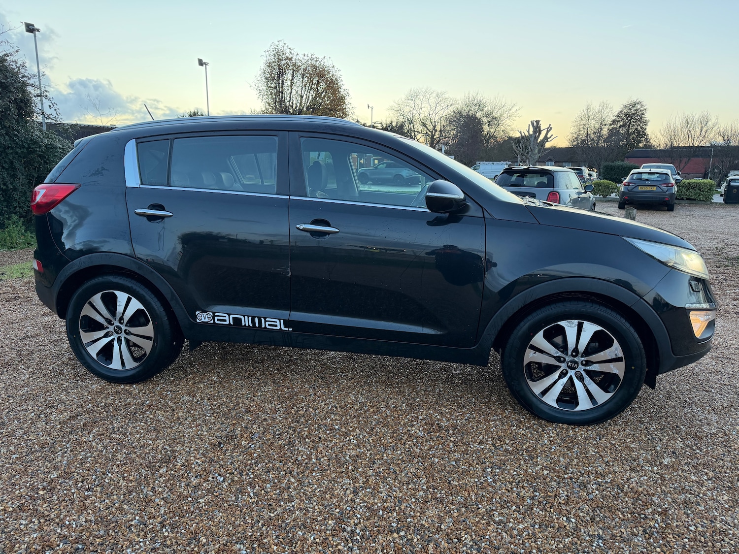 Used Kia Sportage 2013 for sale - 76826976: Photo 5