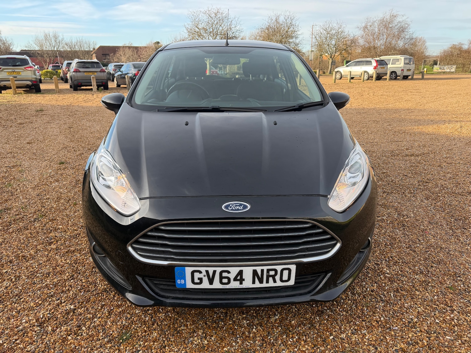 Used Ford Fiesta 2015 for sale - 77134050: Photo 3