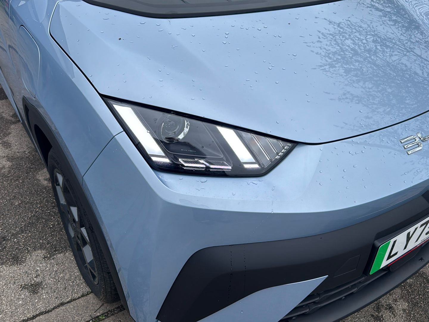 Used BYD Dolphin 2025 for sale - 77629886: Photo 22