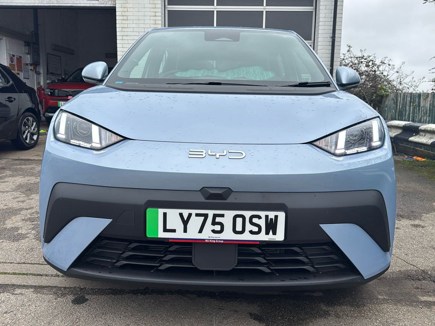 Used BYD Dolphin 2025 for sale - 77629886: Photo 49