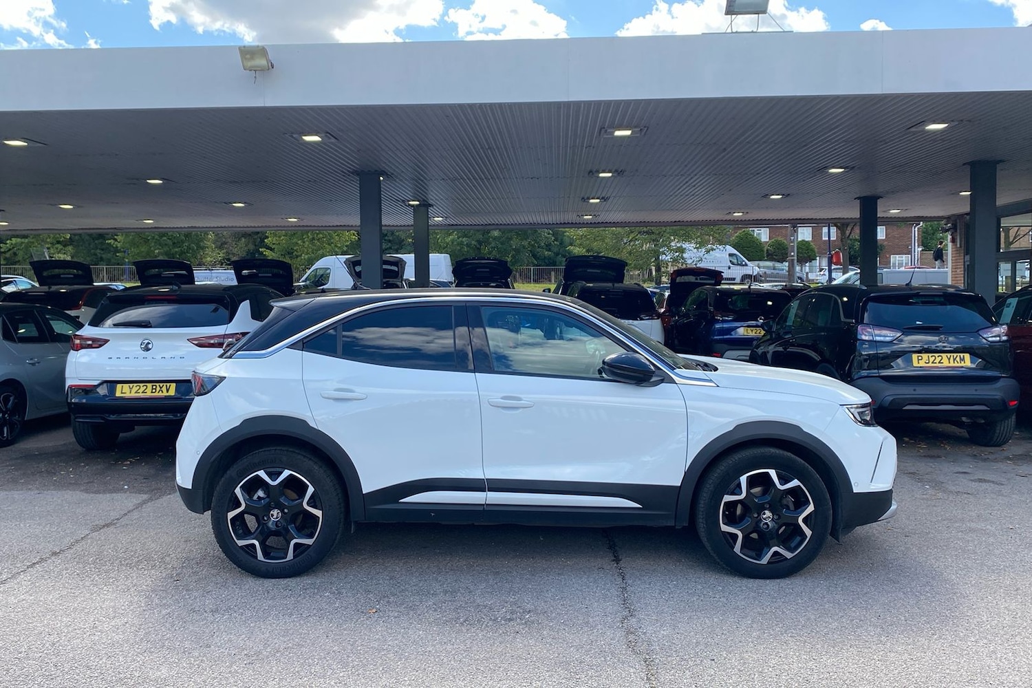Vehicle 6