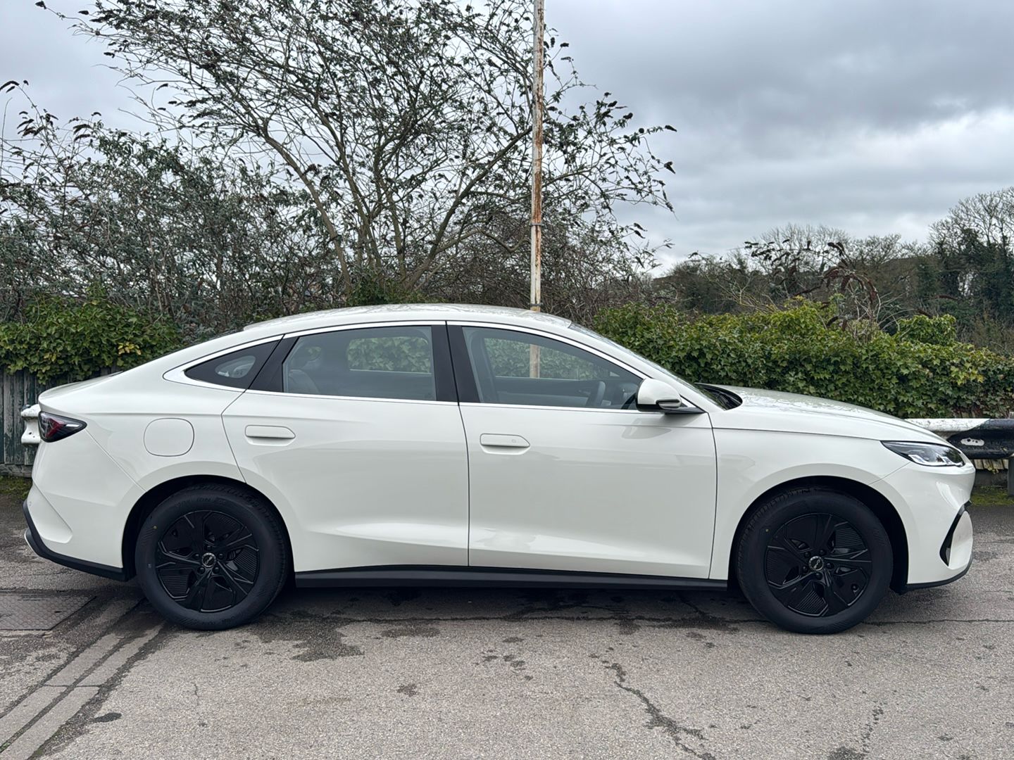 Used BYD Seal 6 2025 for sale - 77629889: Photo 6