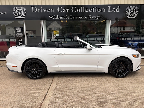 Used Ford Mustang 2016 for sale - 76215162: Photo 15