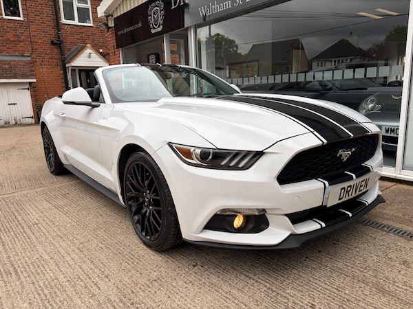 Used Ford Mustang 2016 for sale - 76215162: Photo 16