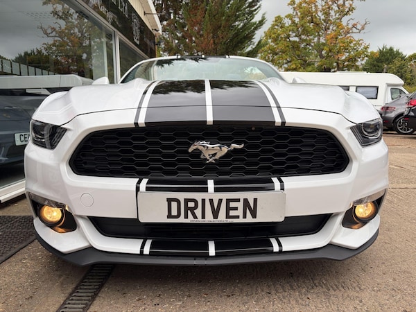Used Ford Mustang 2016 for sale - 76215162: Photo 17
