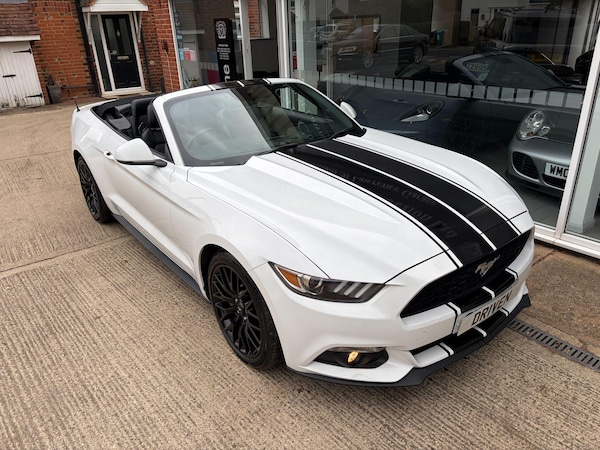 Used Ford Mustang 2016 for sale - 76215162: Photo 25