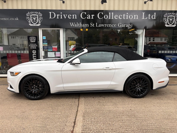 Used Ford Mustang 2016 for sale - 76215162: Photo 5
