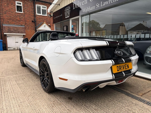 Used Ford Mustang 2016 for sale - 76215162: Photo 6