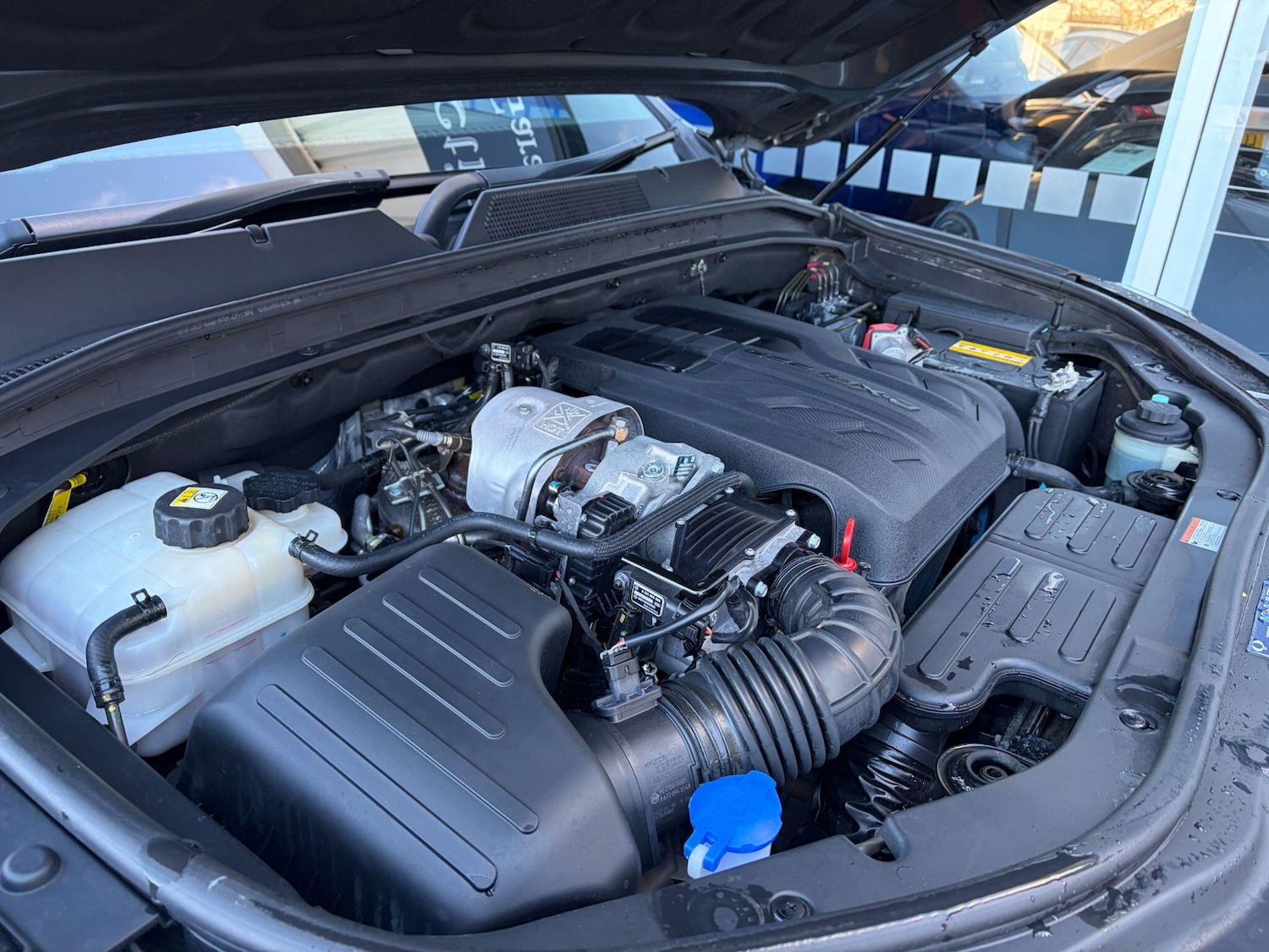 Used Ssangyong Musso 2022 for sale - 76701779: Photo 26