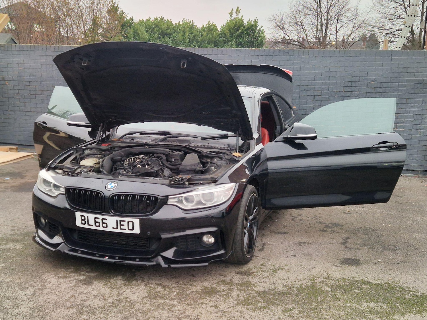 Used BMW 4 Series for sale - 77426196: Photo 14