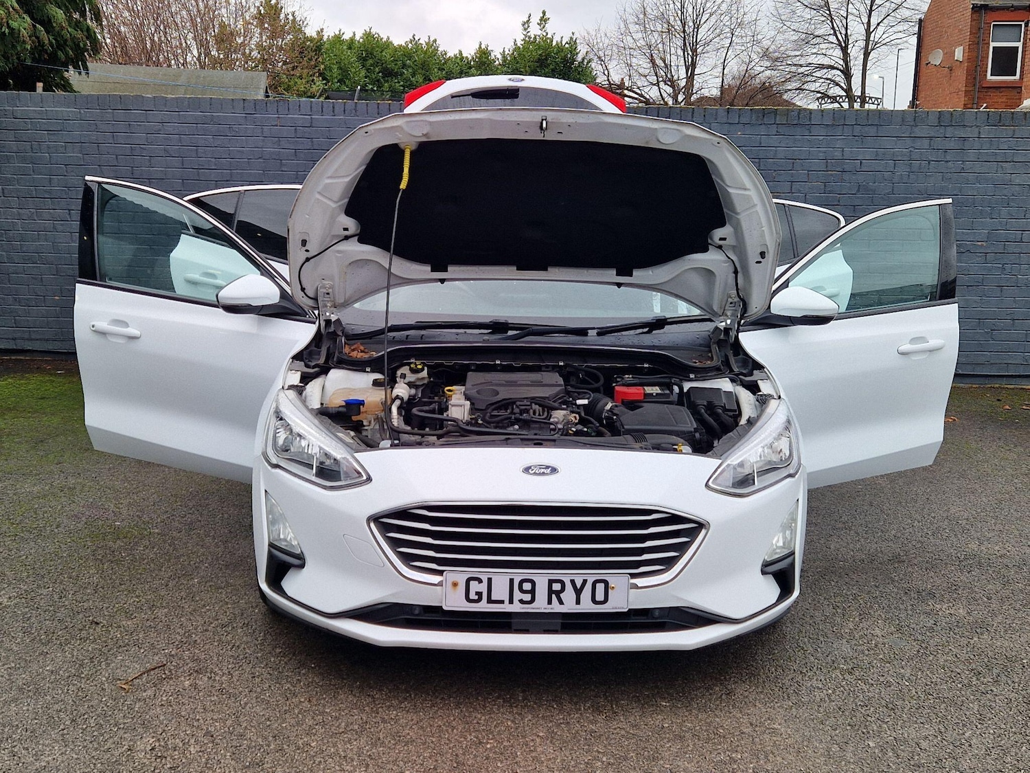 Used Ford Focus 2019 for sale - 77190870: Photo 13