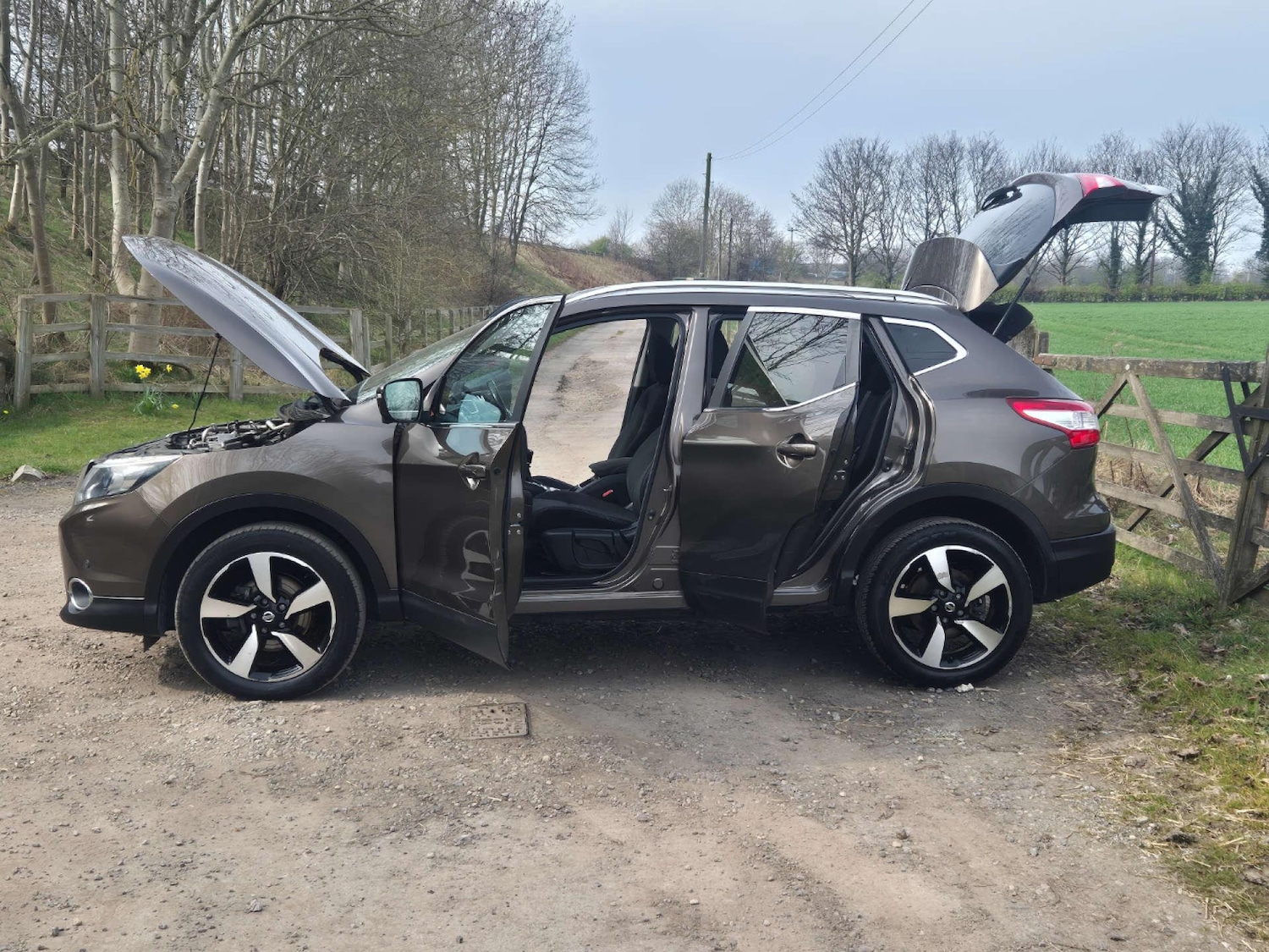 Used Nissan Qashqai for sale - 76994418: Photo 12