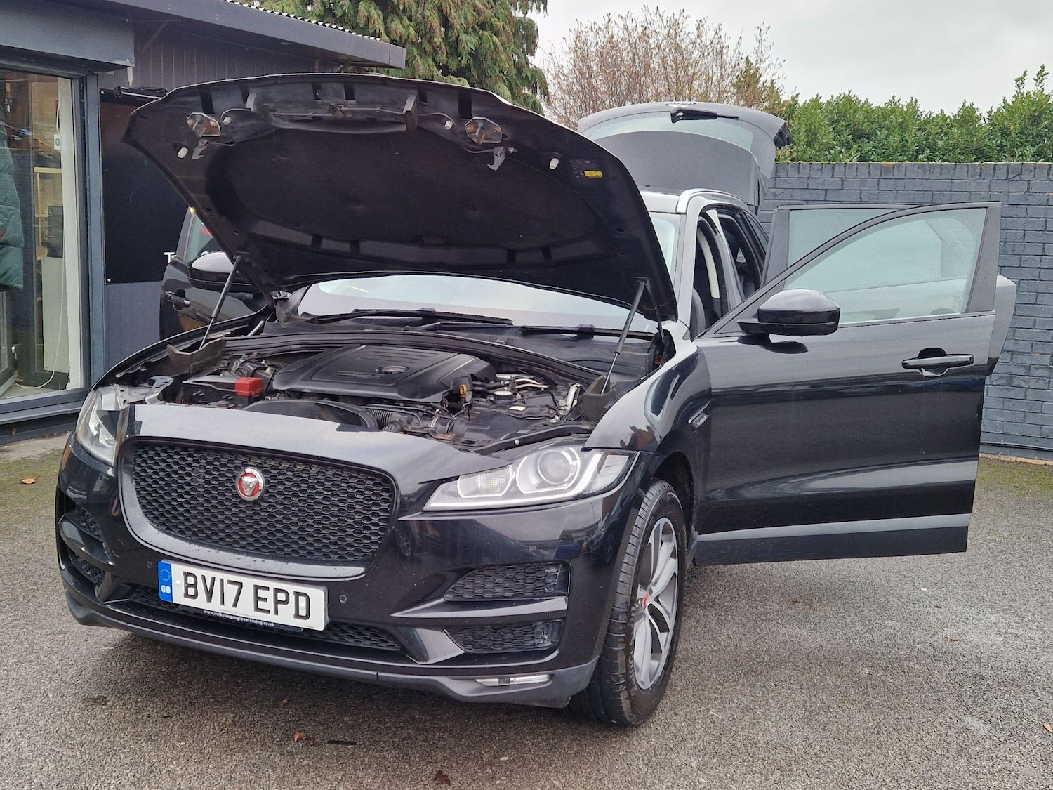 Used Jaguar F-Pace 2017 for sale - 77386564: Photo 14