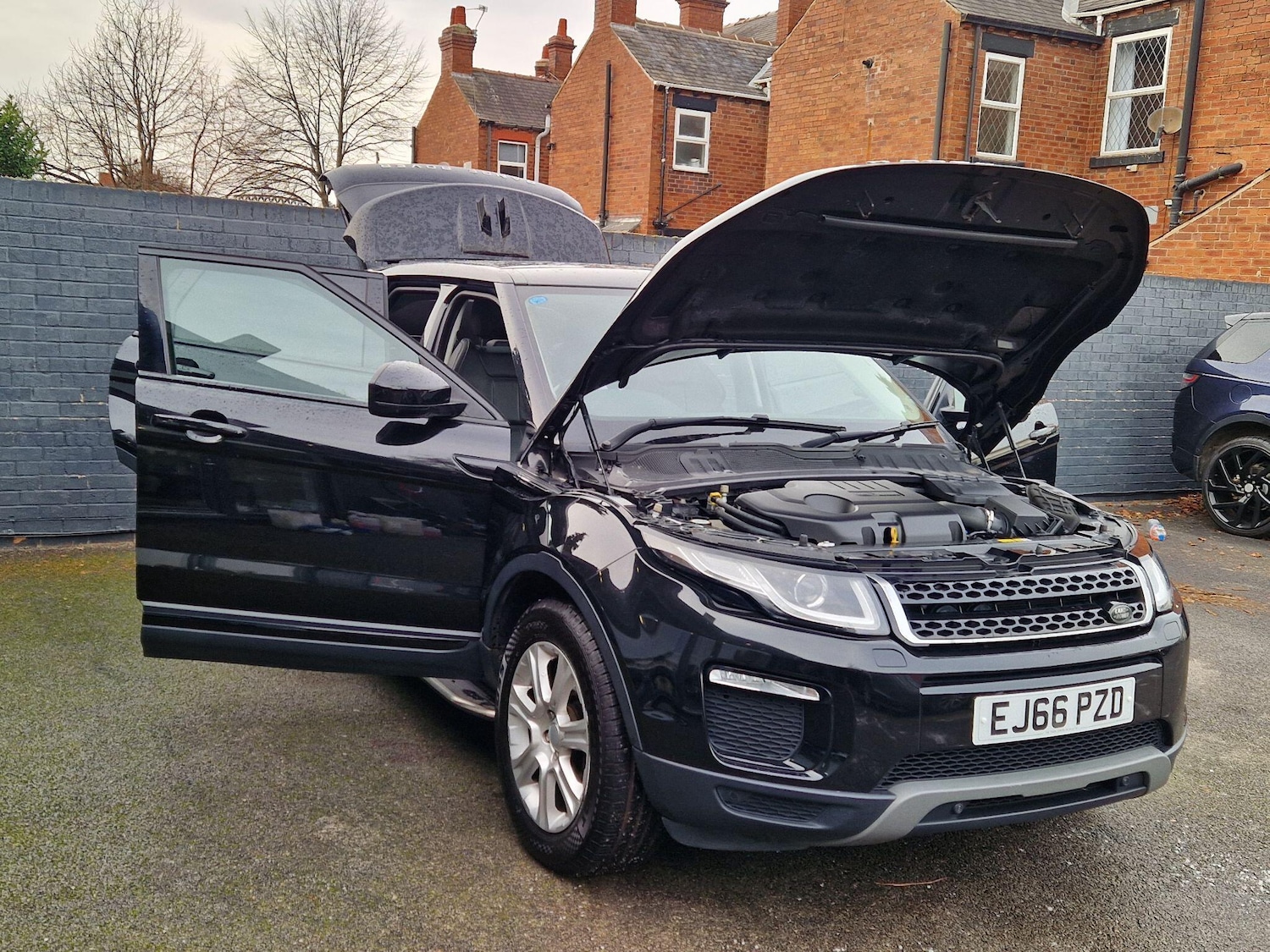 Used Land Rover Range Rover Evoque 2016 for sale - 77120199: Photo 12