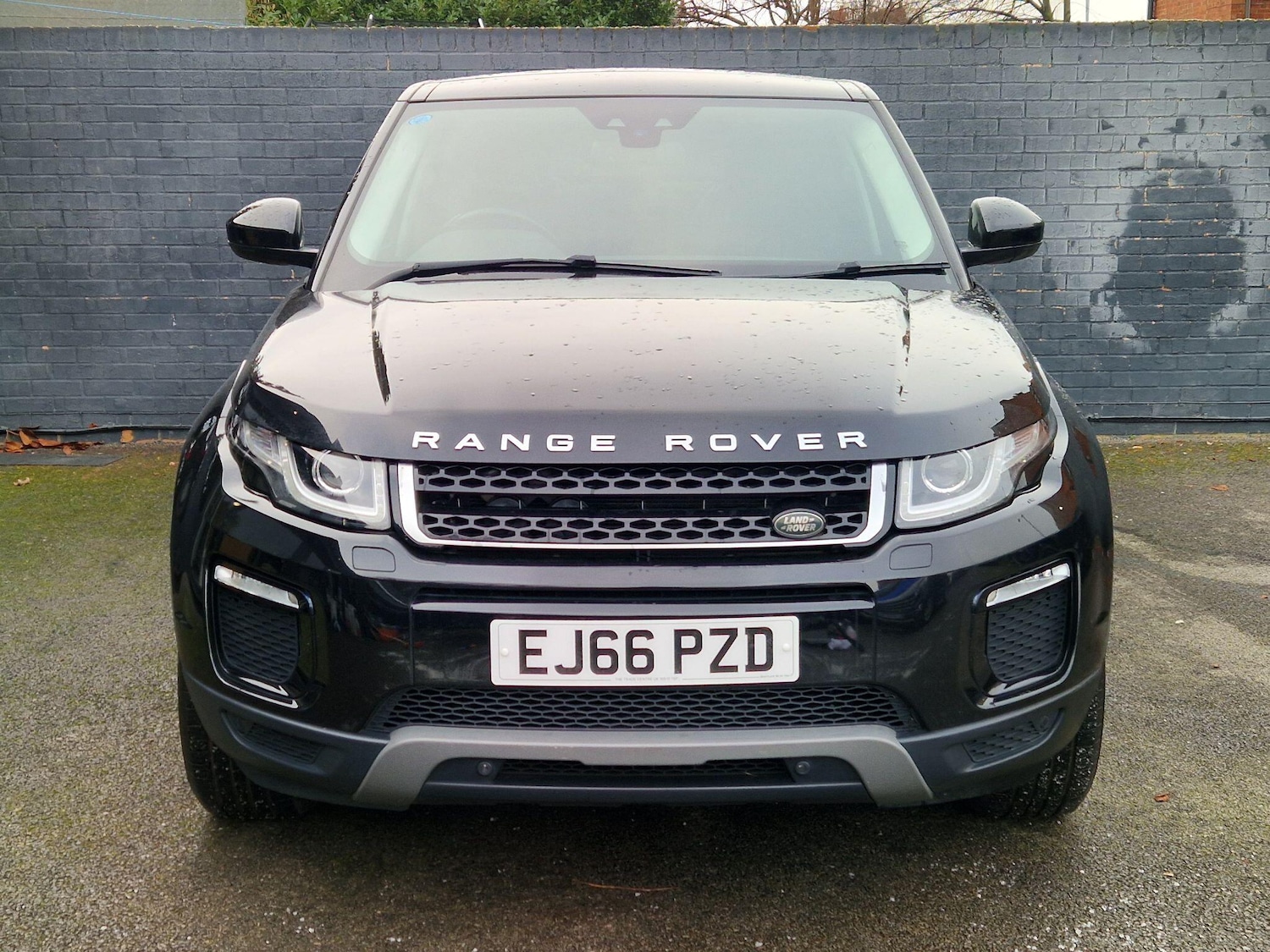 Used Land Rover Range Rover Evoque 2016 for sale - 77120199: Photo 4