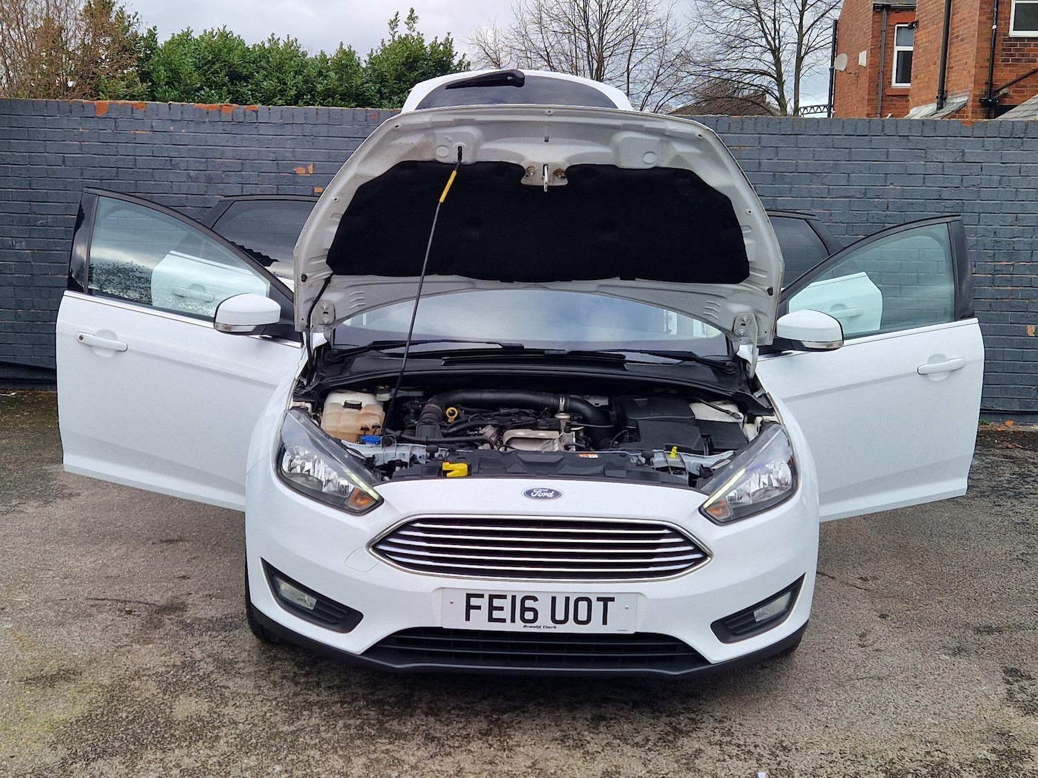 Used Ford Focus for sale - 77658411: Photo 13