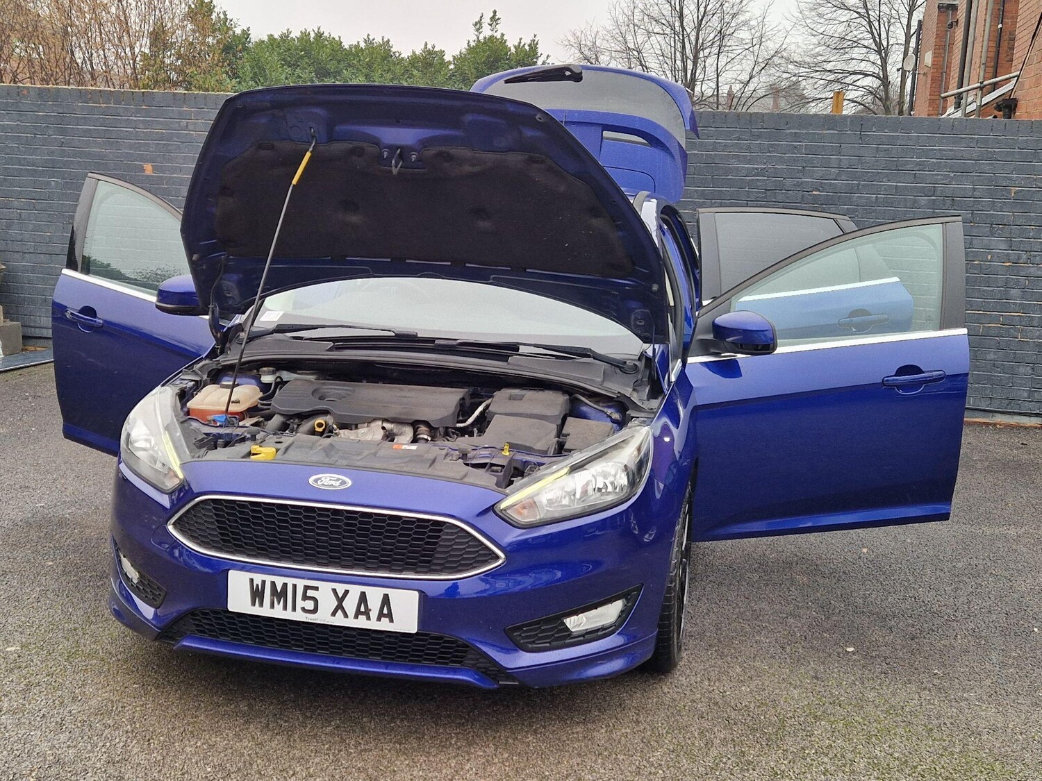Used Ford Focus for sale - 77511072: Photo 14