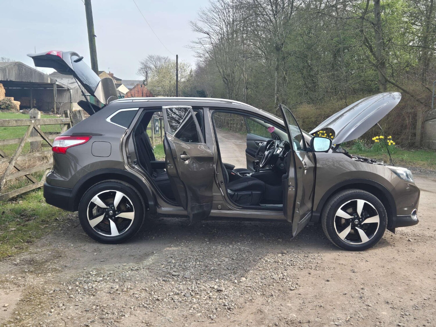 Used Nissan Qashqai 2017 for sale - 76781270: Photo 19