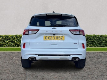 Used Ford Kuga 2023 for sale - 78263435: Photo