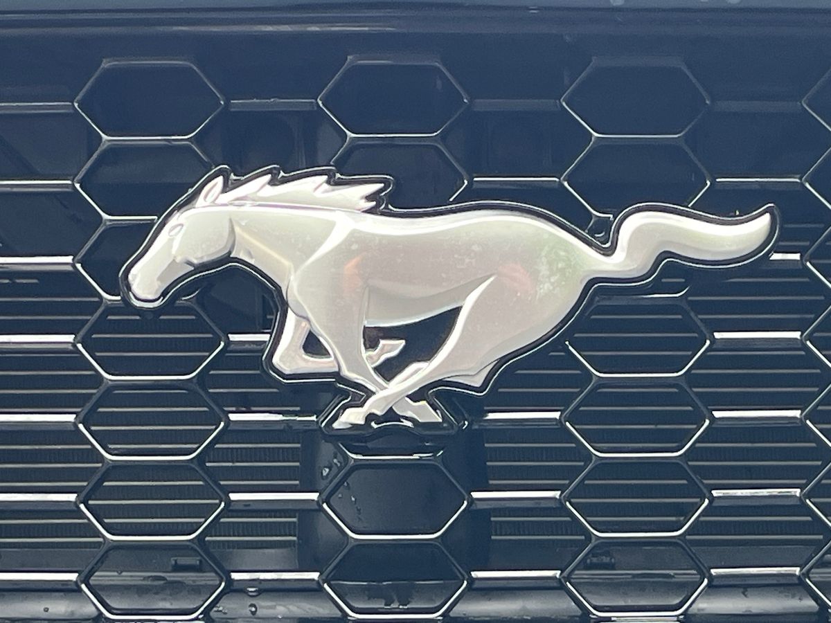 Used Ford Mustang 2025 for sale - 77884541: Photo 43