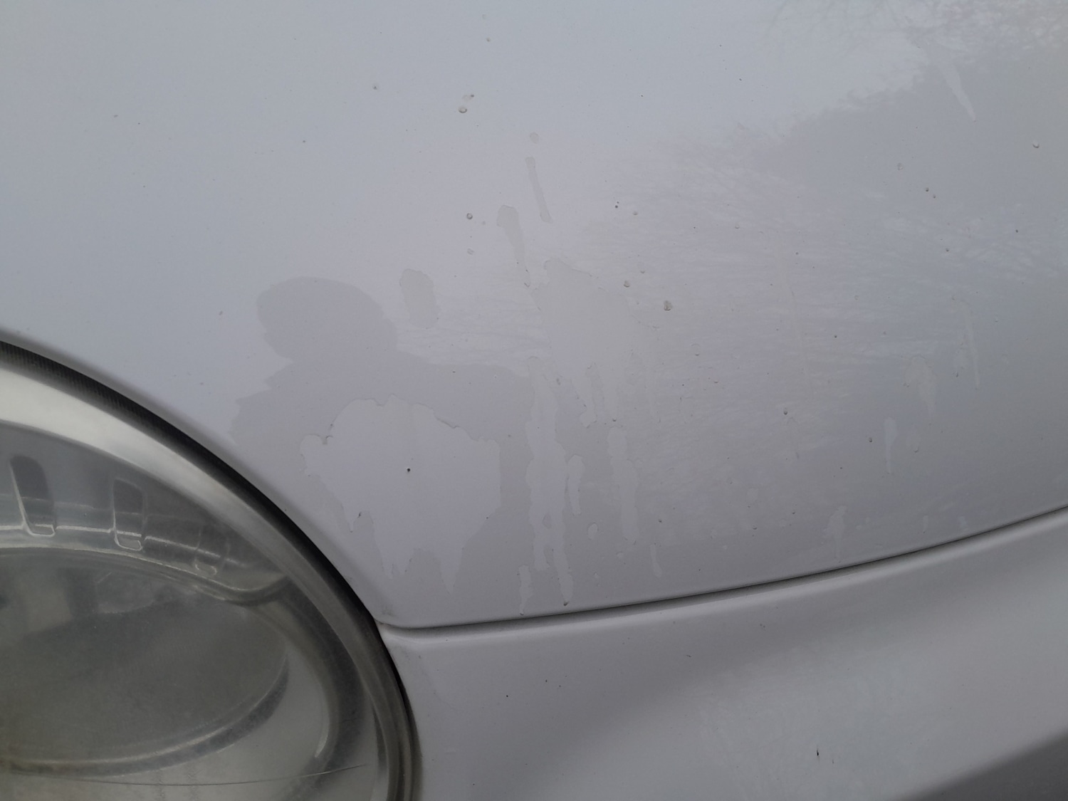 Used Fiat 500 2009 for sale - 77198485: Photo 9