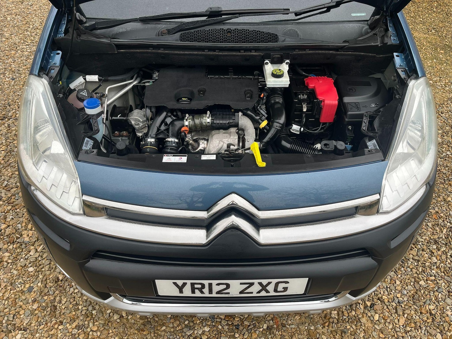 Used Citroen Berlingo for sale - 77705639: Photo 55