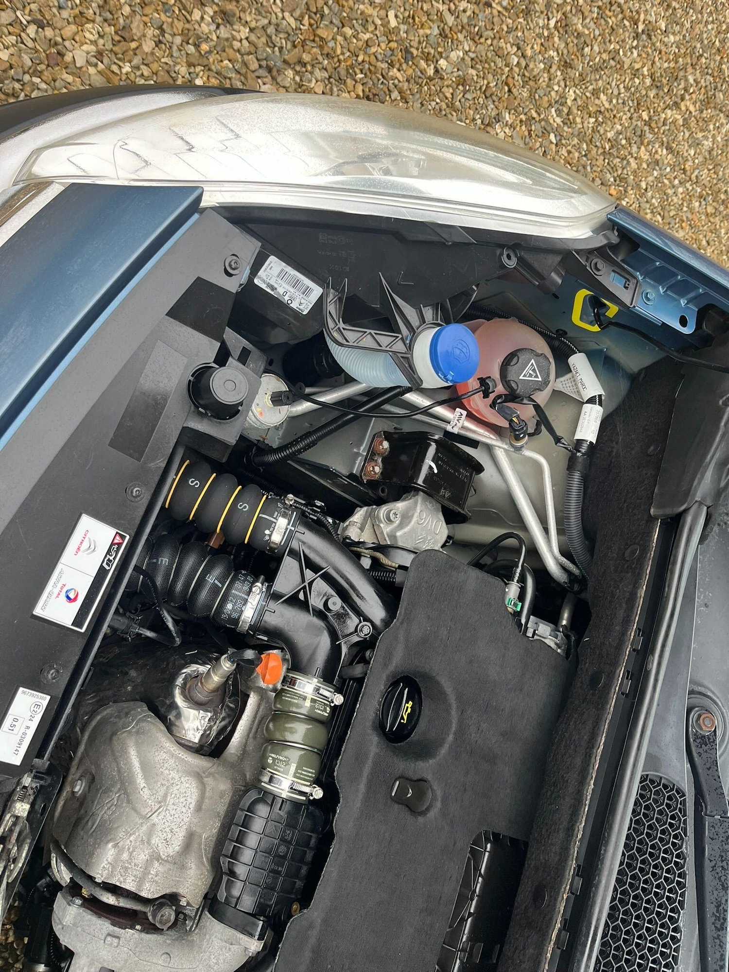 Used Citroen Berlingo for sale - 77705639: Photo 56