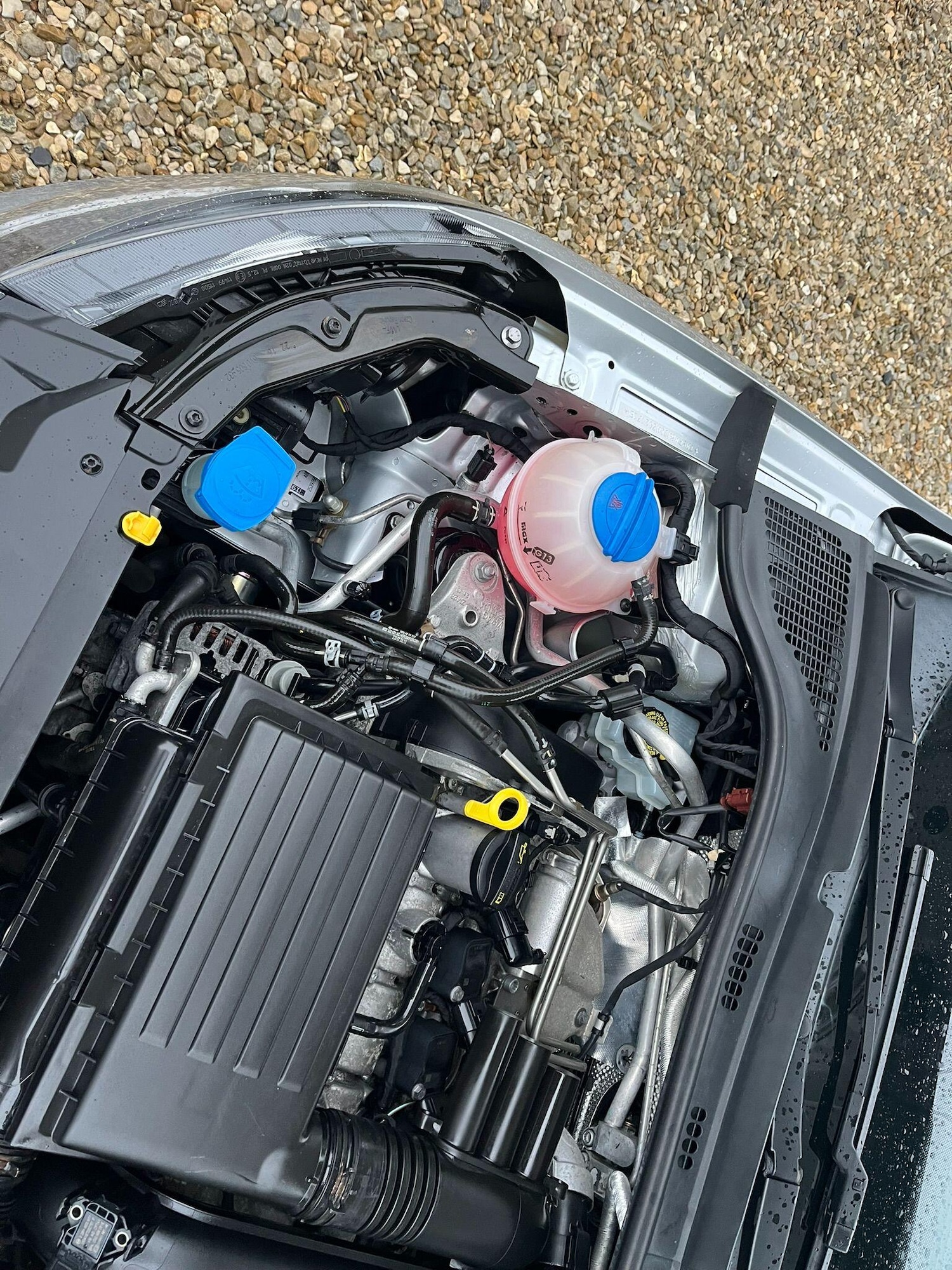 Used Skoda Fabia 2016 for sale - 77440604: Photo 63