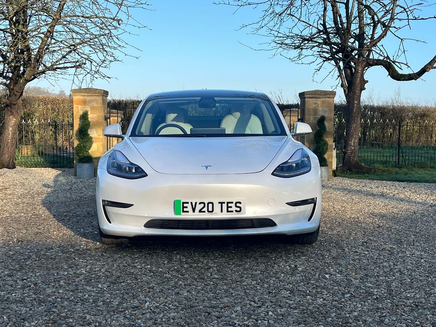 Used Tesla Model 3 for sale - 77754056: Photo 11