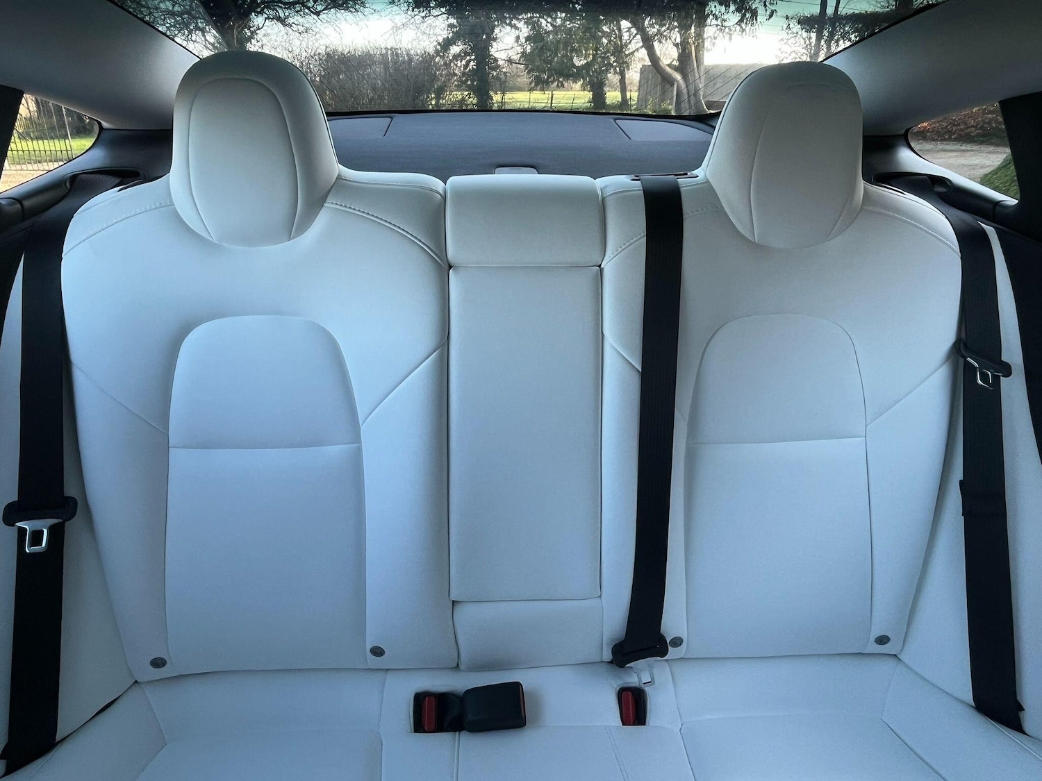 Used Tesla Model 3 for sale - 77754056: Photo 30