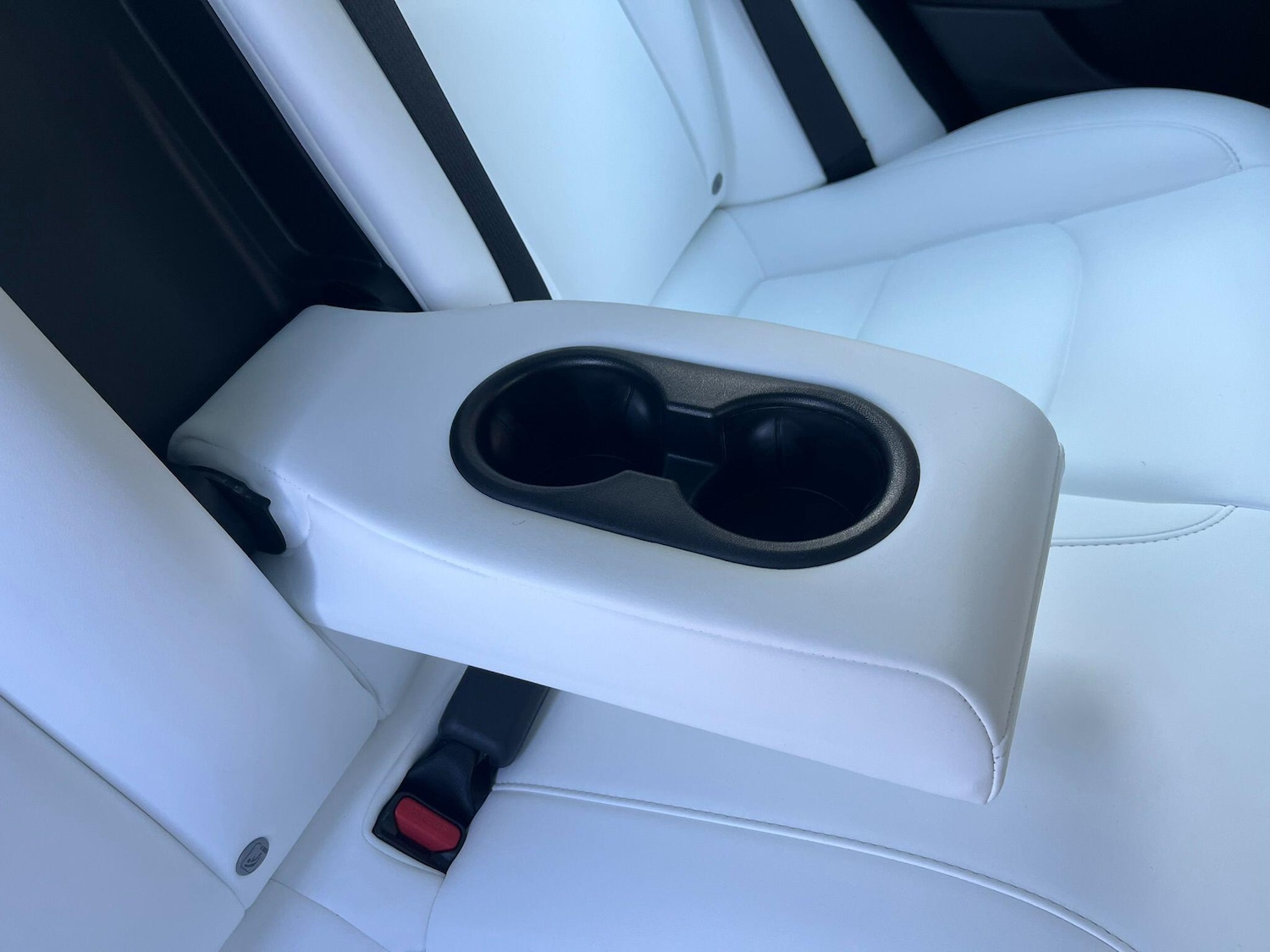 Used Tesla Model 3 for sale - 77754056: Photo 61