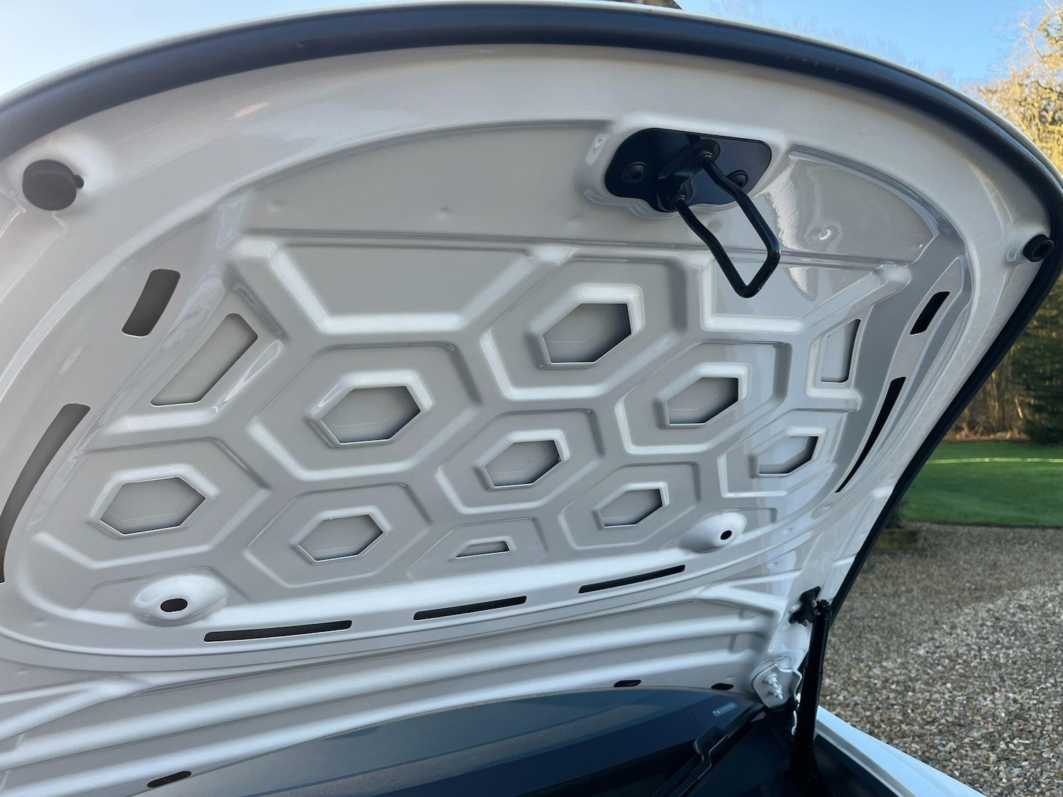 Used Tesla Model 3 for sale - 77754056: Photo 66