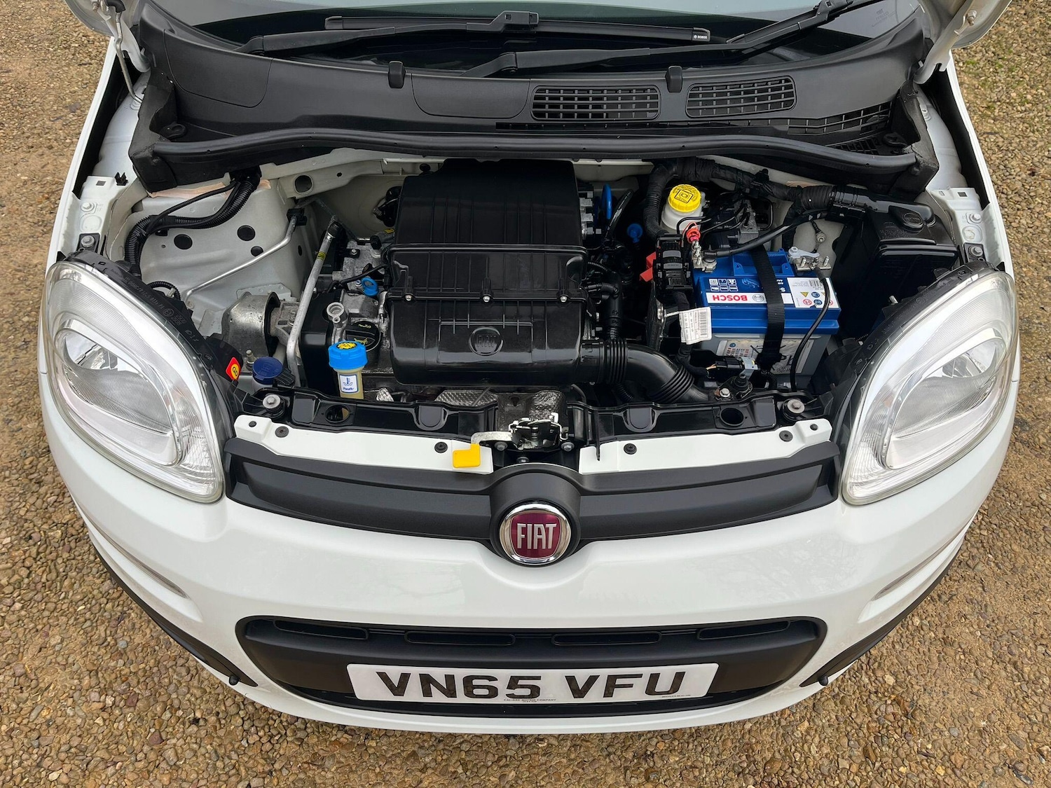 Used Fiat Panda 2015 for sale - 76824639: Photo 52