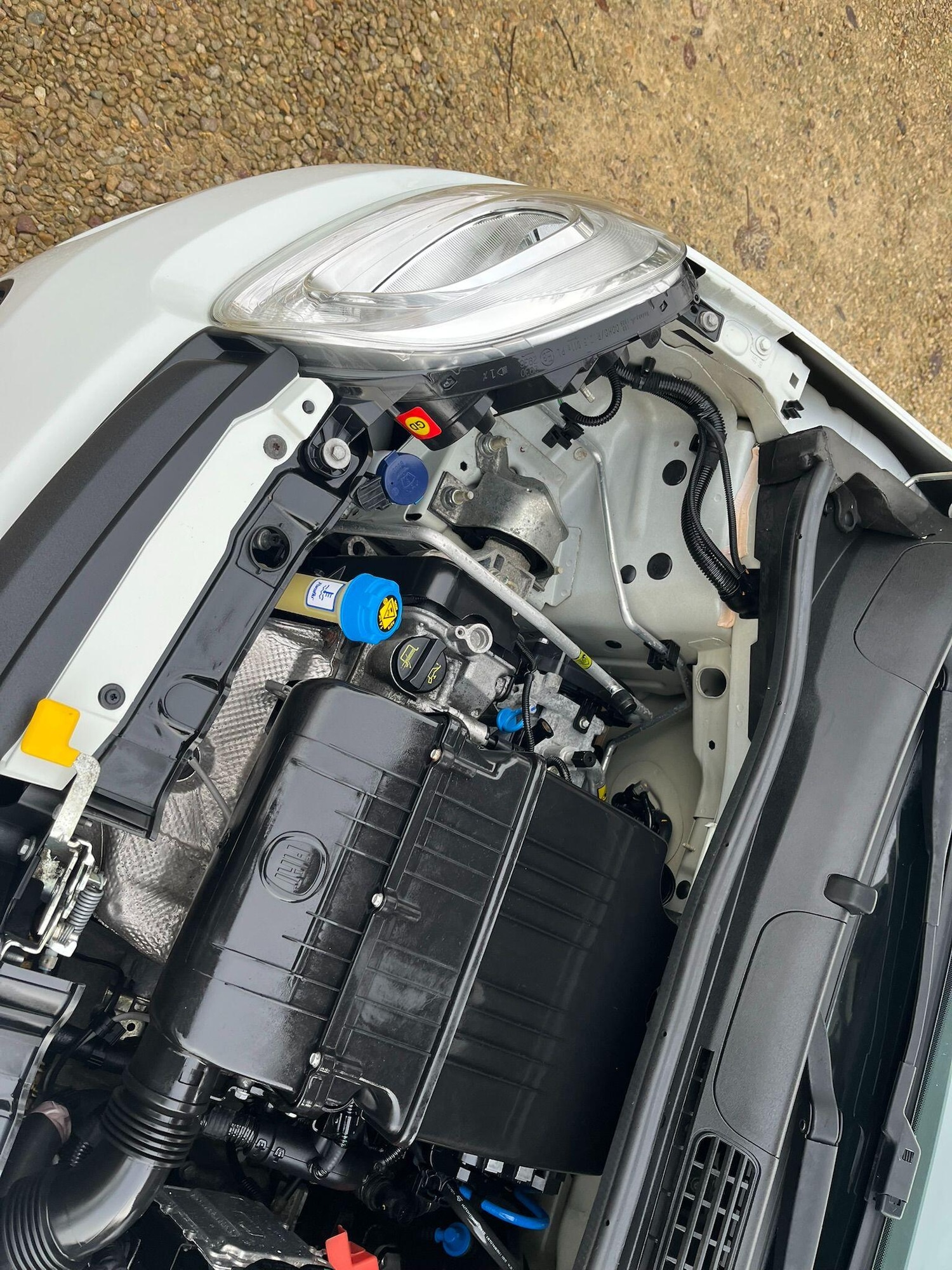 Used Fiat Panda 2015 for sale - 76824639: Photo 53