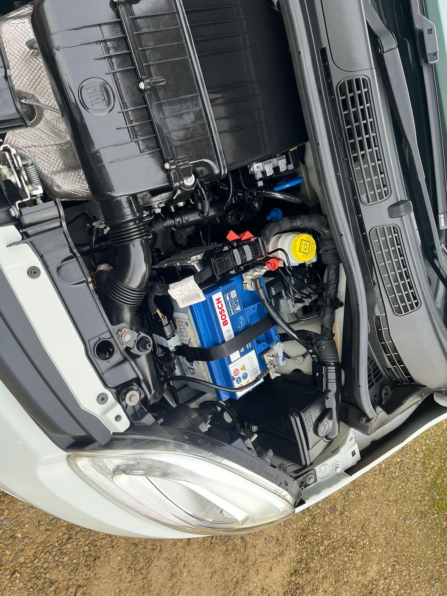 Used Fiat Panda 2015 for sale - 76824639: Photo 54