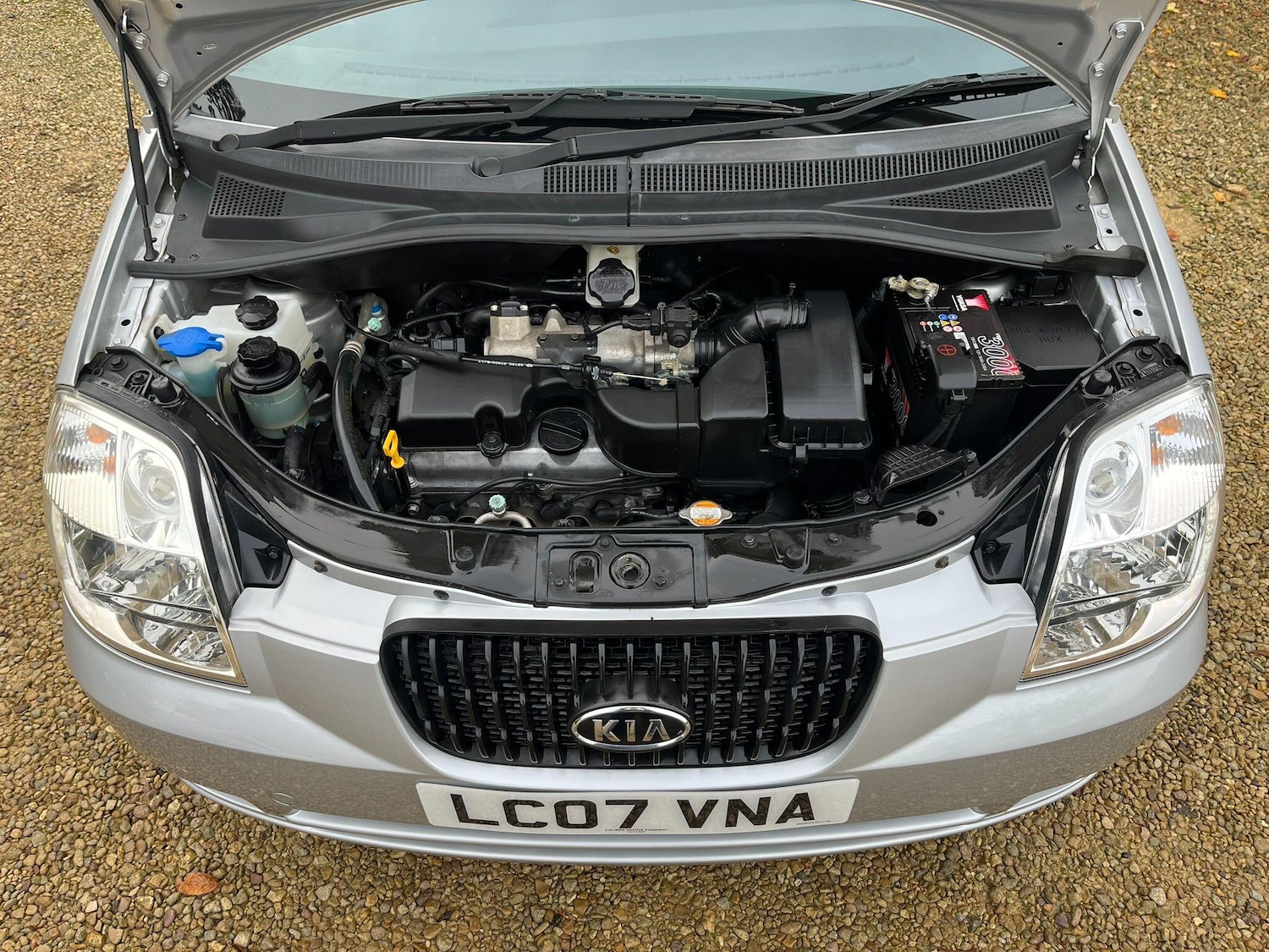 Used Kia Picanto for sale - 76728700: Photo 61