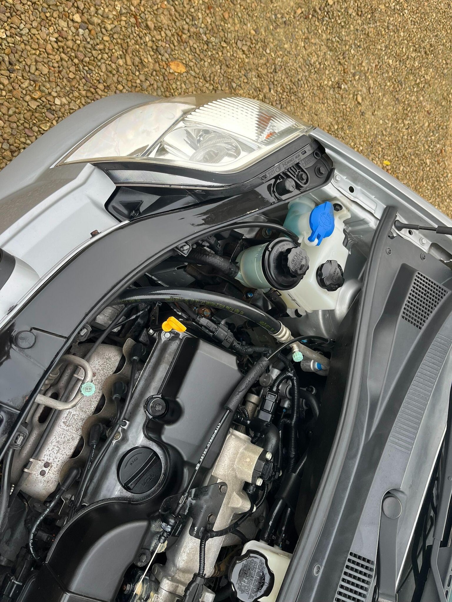 Used Kia Picanto for sale - 76728700: Photo 63