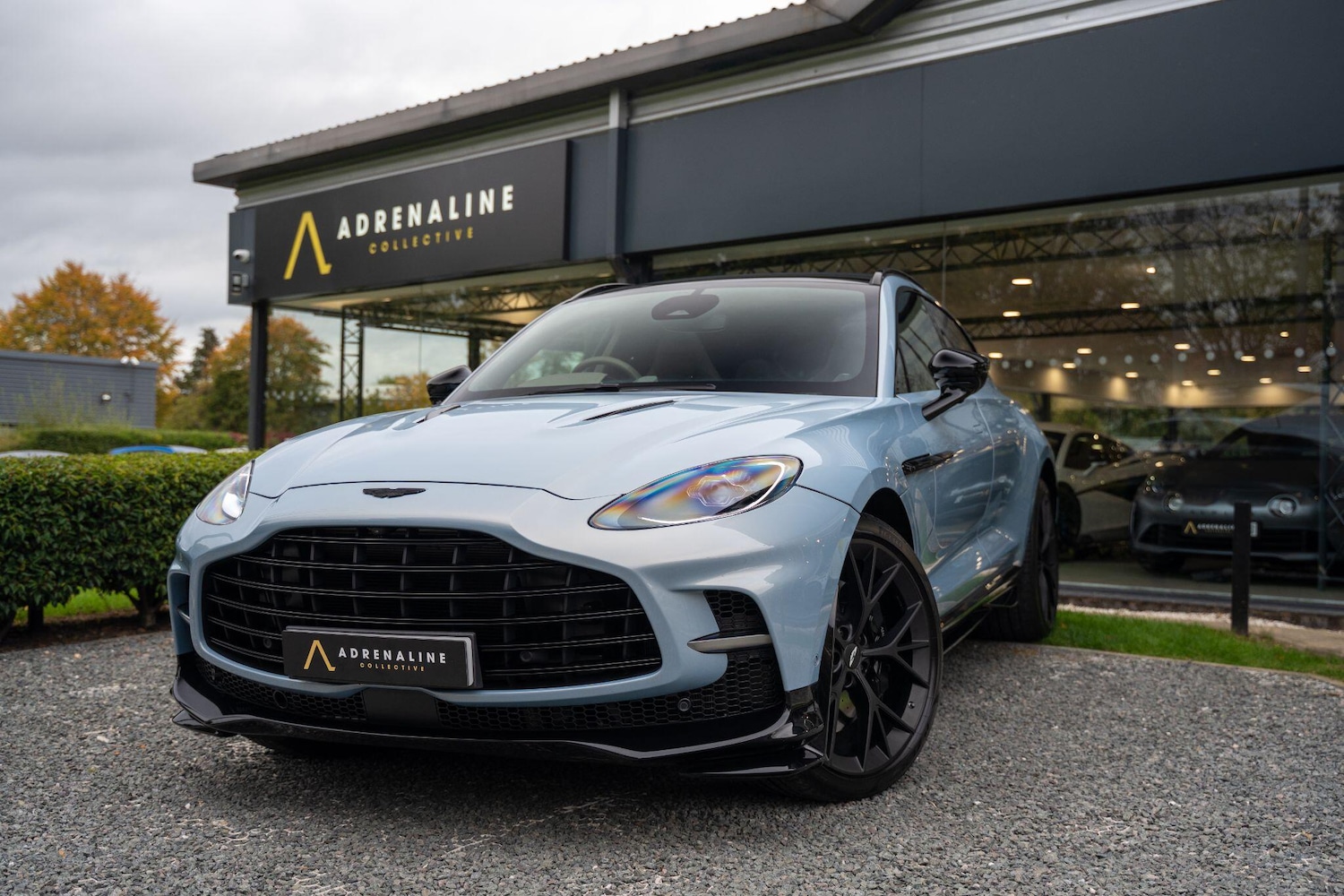 Used Aston Martin DBX 2025 for sale - 77574733: Photo 6