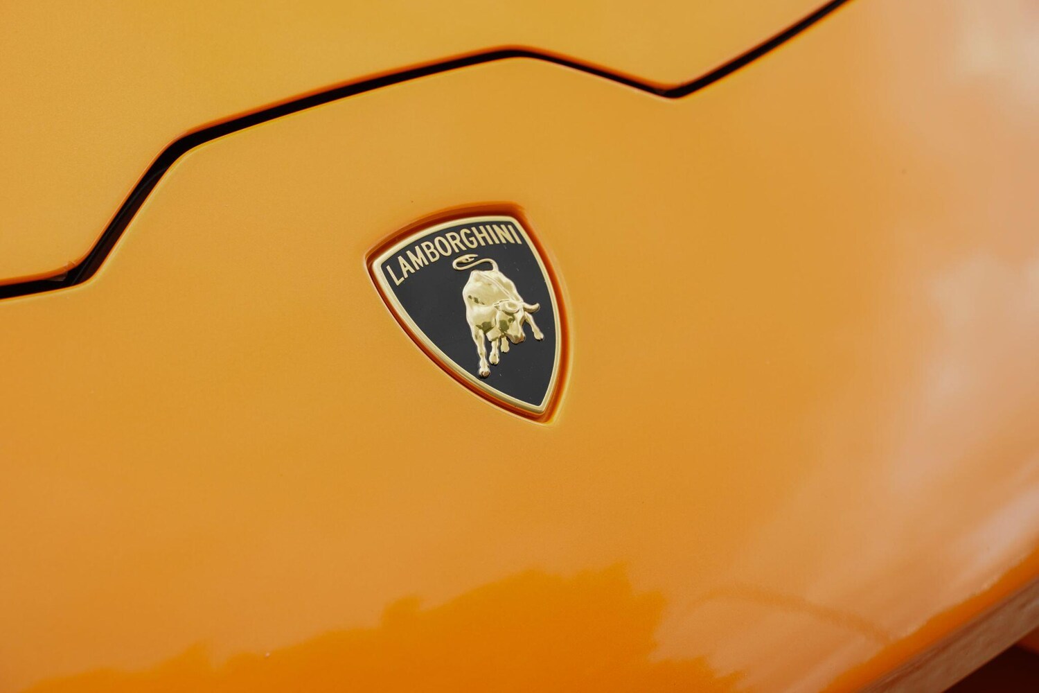 Used Lamborghini Huracan 2018 for sale - 77575151: Photo 29