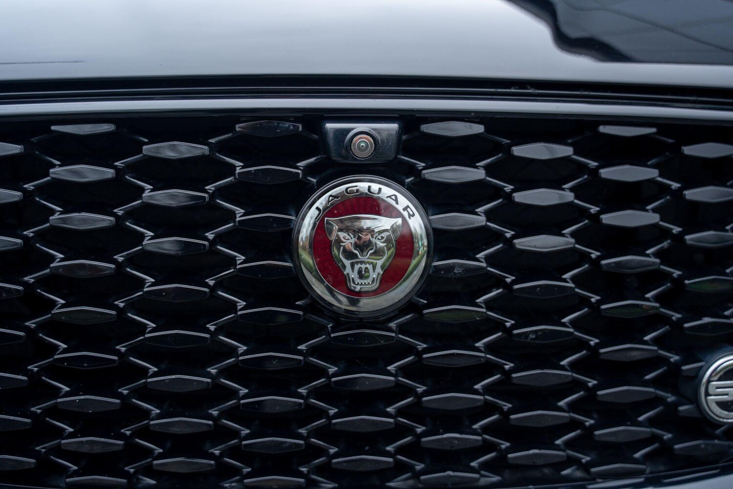 Used Jaguar F-Pace 2022 for sale - 77574371: Photo 61