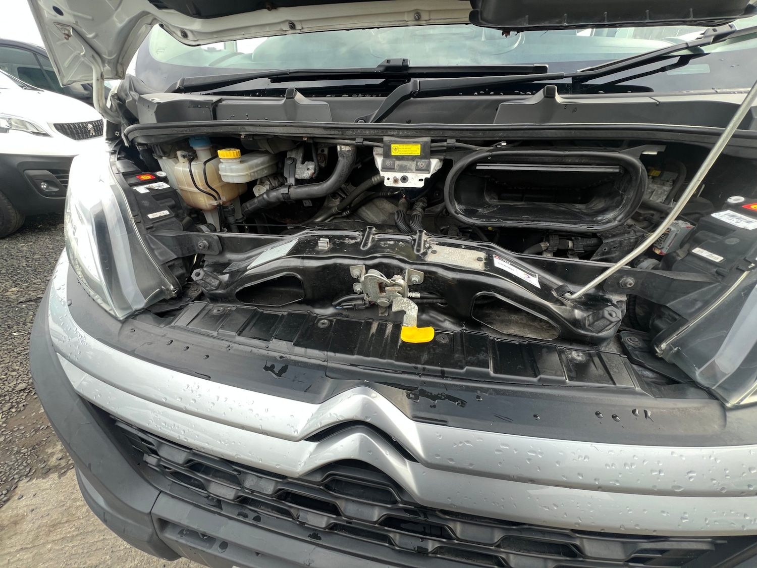 Used Citroen Relay for sale - 77983434: Photo 13