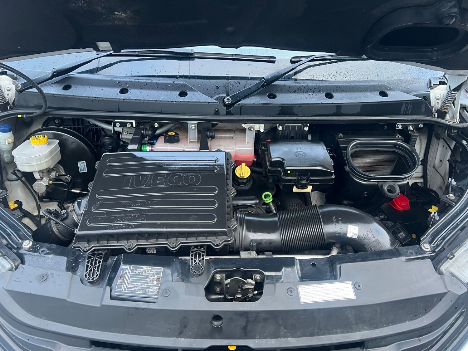 Used Iveco Daily 2023 for sale - 77403405: Photo 9