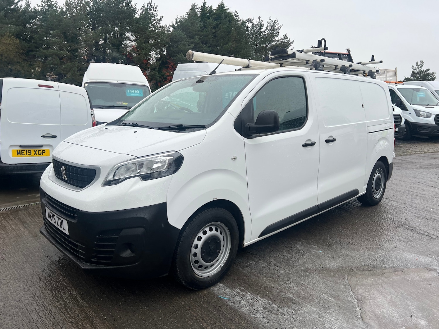 Used Peugeot Expert 2019 for sale - 77638563: Photo 13