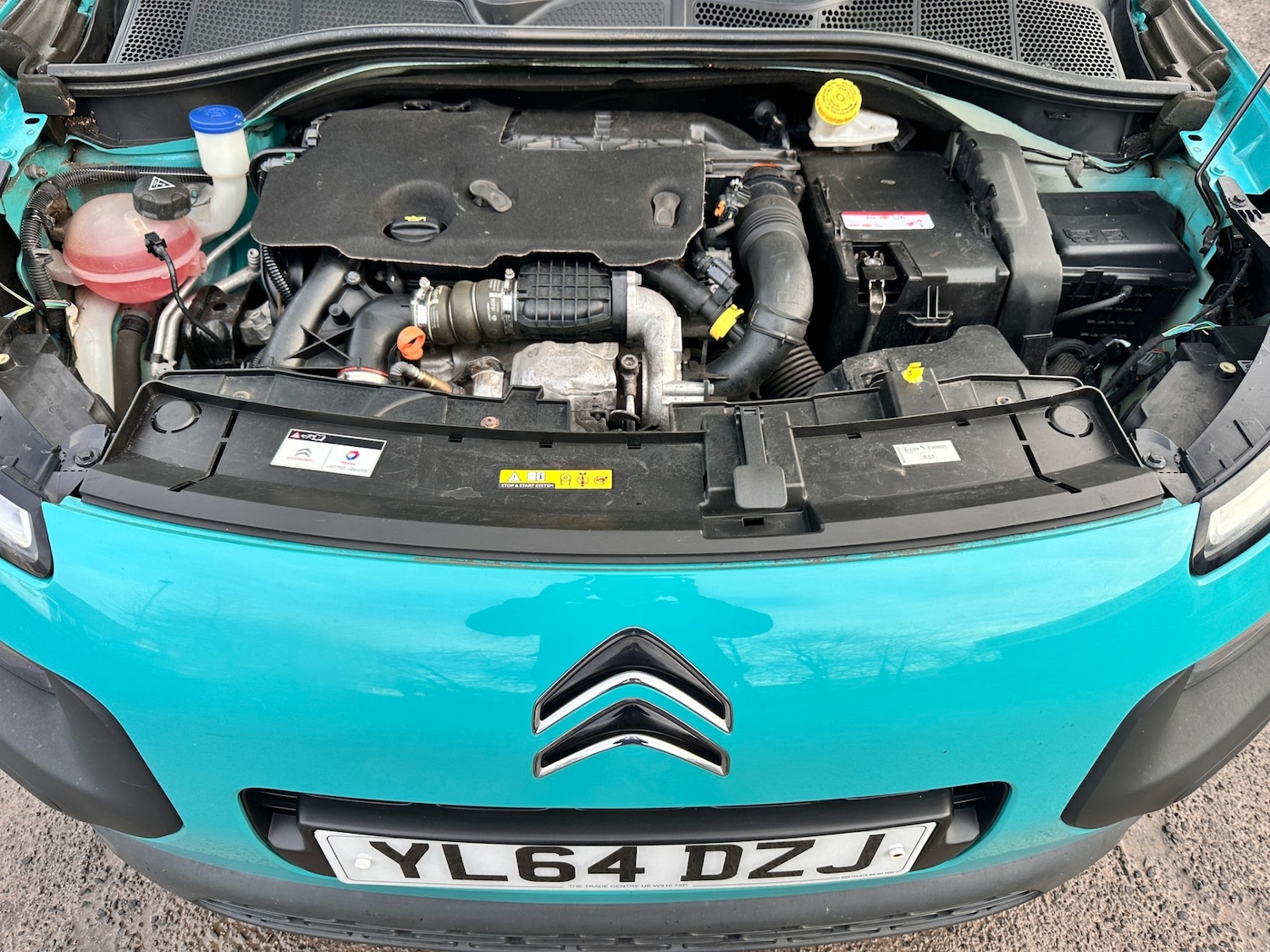 Used Citroen C4 Cactus 2015 for sale - 76969808: Photo 14