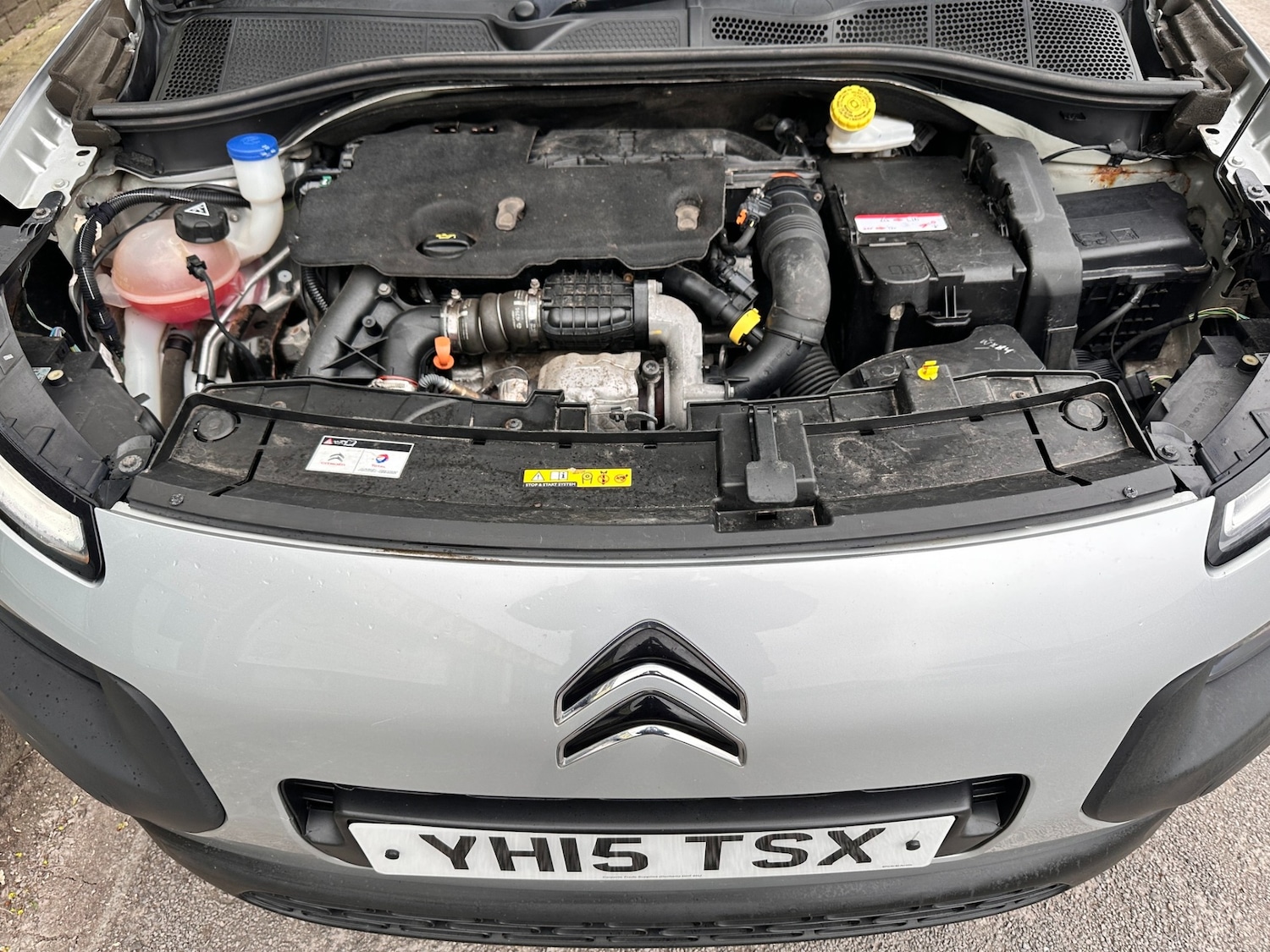 Used Citroen C4 Cactus 2015 for sale - 78141010: Photo 15