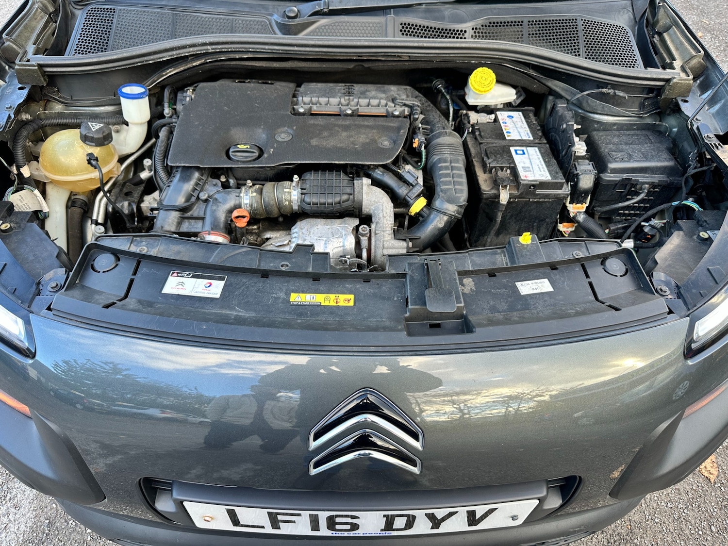 Used Citroen C4 Cactus 2016 for sale - 76364018: Photo 19