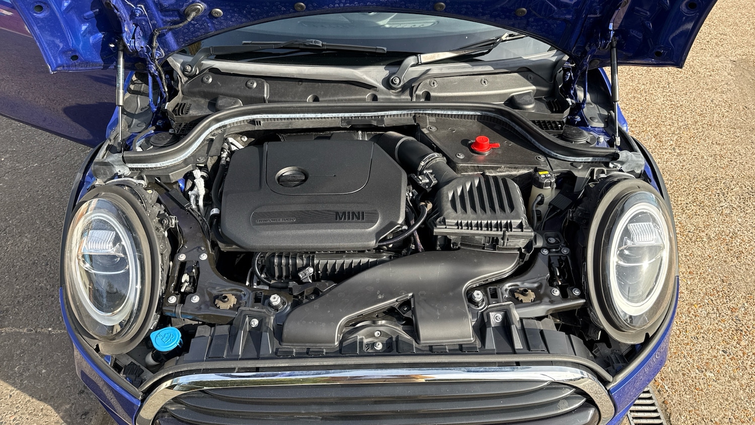 Used MINI Convertible for sale - 75975719: Photo 16