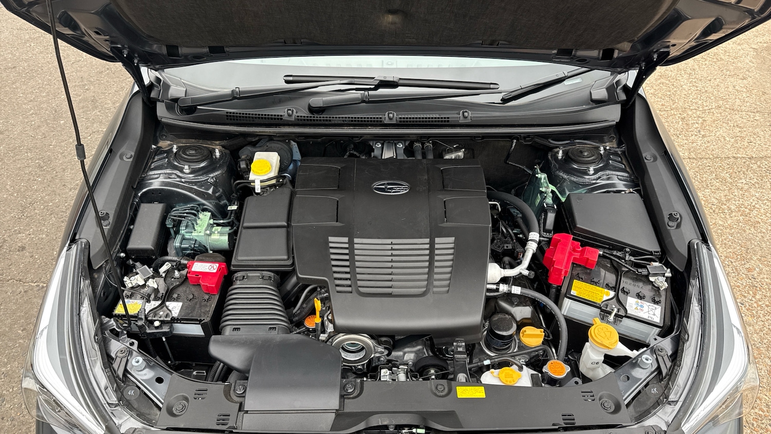 Used Subaru Other for sale - 76281314: Photo 22